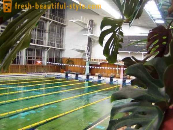 Πισίνα «Vodnik» στο Αρχάγγελσκ: πώς να αρχίσουν να κολυμπούν;