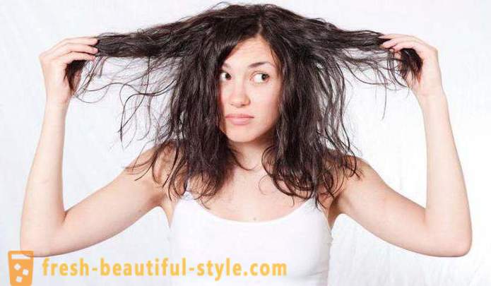 Αποτελεσματική σαμπουάν για λιπαρά μαλλιά: σχόλια, τύπους και κατασκευαστές