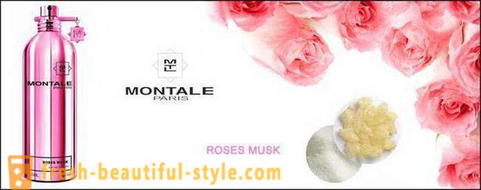Άρωμα Montale Rose Musk: κριτικές, περιγραφή γεύση, φωτογραφίες