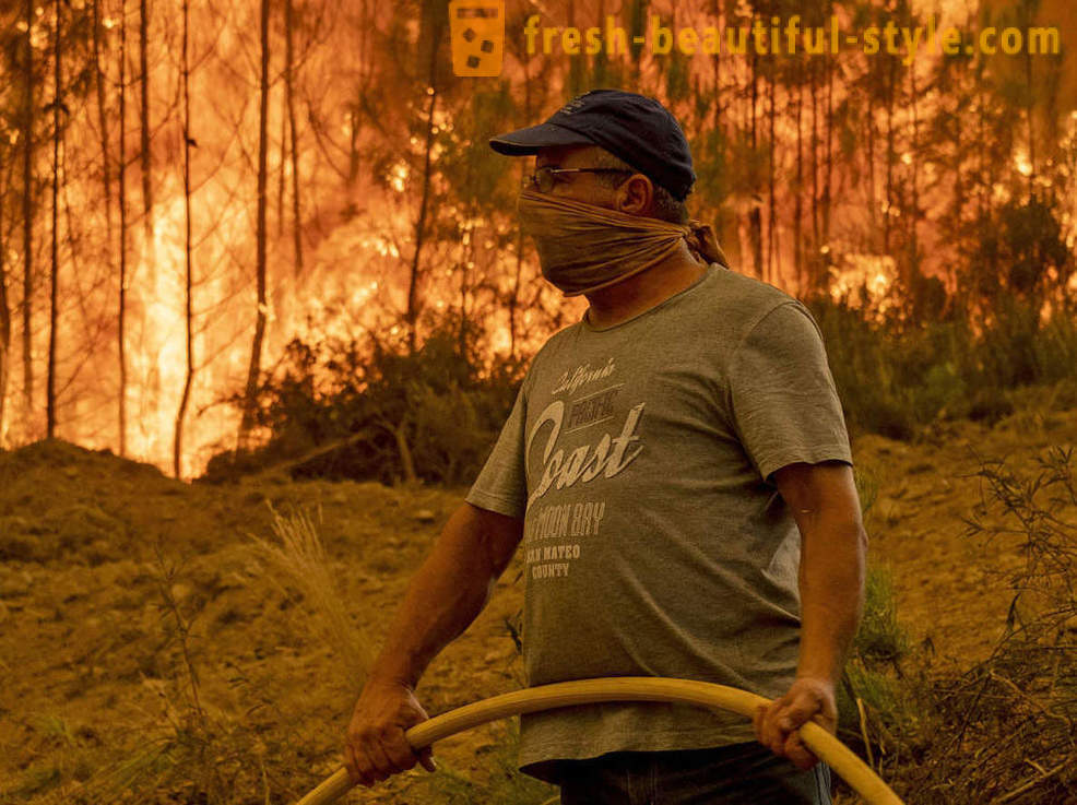 Πώς να σβήσουν τις πυρκαγιές στην Πορτογαλία