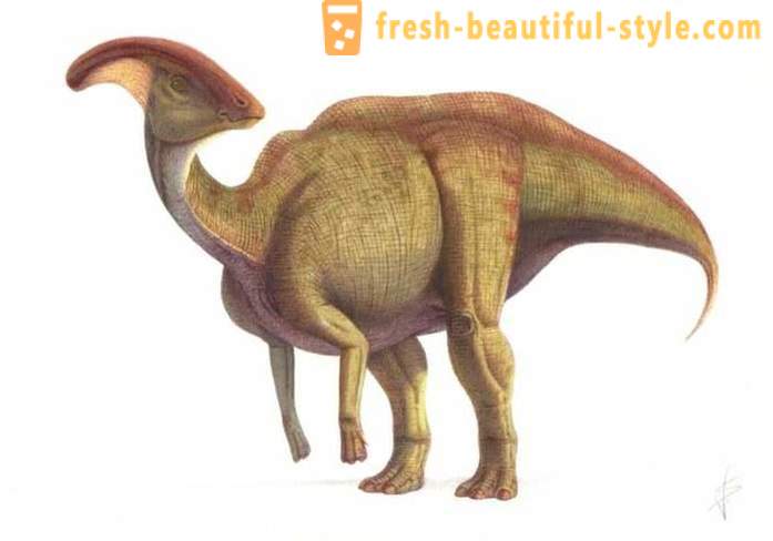 Μοναδικά ευρήματα που σχετίζονται με τους δεινόσαυρους