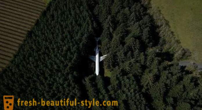 American, 15 χρόνια ζει σε ένα αεροπλάνο στη μέση του δάσους
