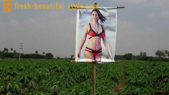 Μια αφίσα με μια πορνοστάρ για την προστασία των καλλιεργειών από το κακό μάτι
