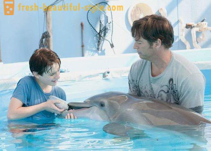 Μια επιλογή των ταινιών για τα δελφίνια