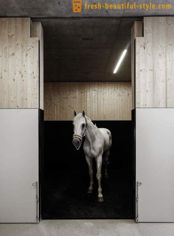 Σχεδιασμός της κτηνιατρική κλινική για τα άλογα στην Αυστρία