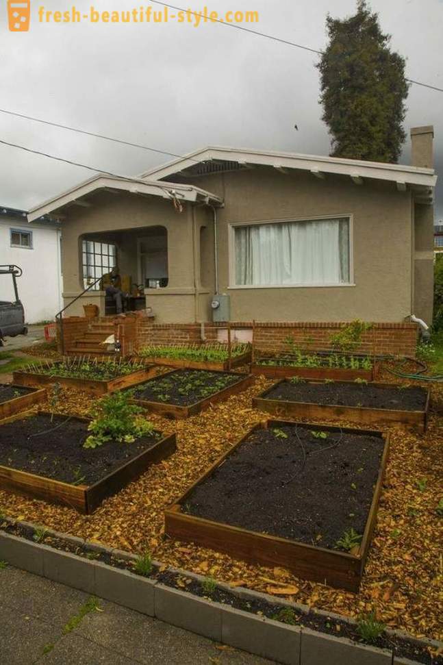 Σε μόλις 60 ημέρες αυτός ο τύπος έθεσε ένα δροσερό κήπο μπροστά από το σπίτι