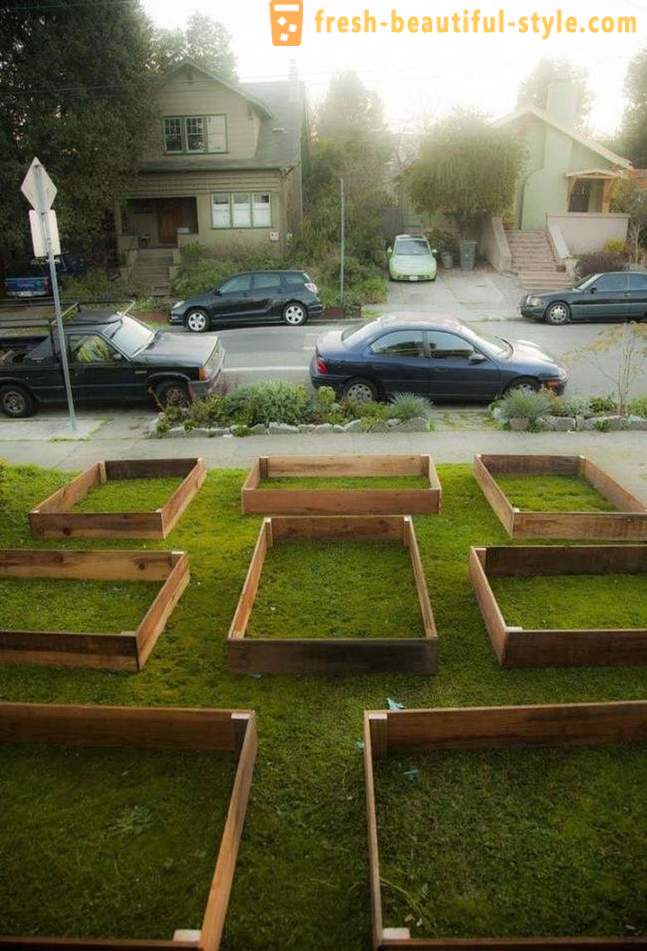 Σε μόλις 60 ημέρες αυτός ο τύπος έθεσε ένα δροσερό κήπο μπροστά από το σπίτι