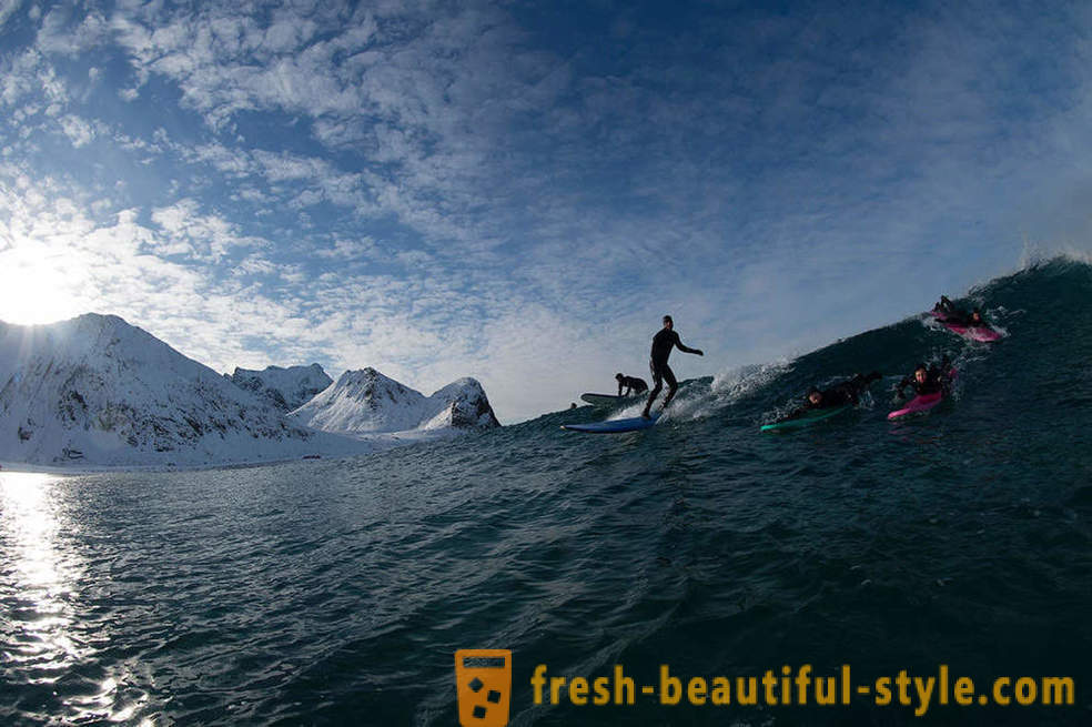 Surfers Ακραία Αρκτική