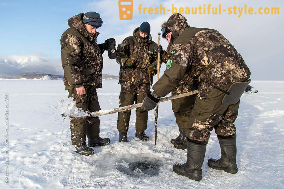 Πώς rybinspektory για Baikal