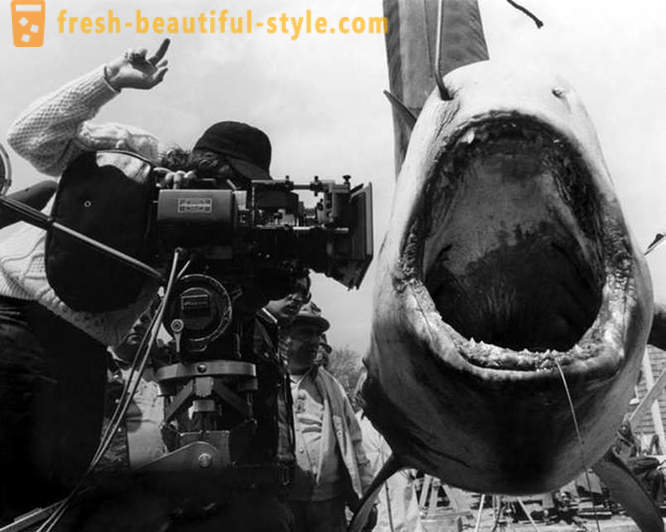 Πώς να γυρίσει την ταινία «Σαγόνια του Καρχαρία»