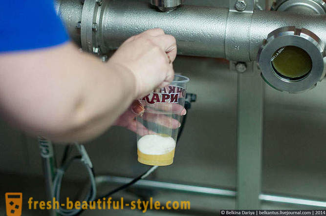 Πώς να κάνει την μπύρα στην Επικράτεια Αλτάι