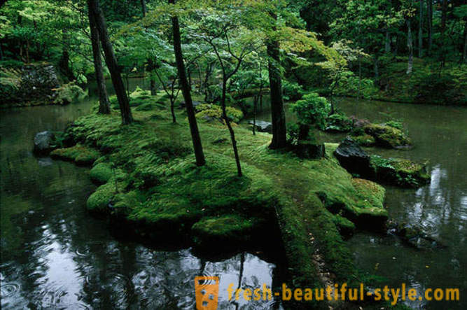 Moss κήπος στην Ιαπωνία