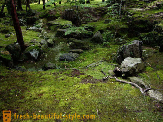 Moss κήπος στην Ιαπωνία
