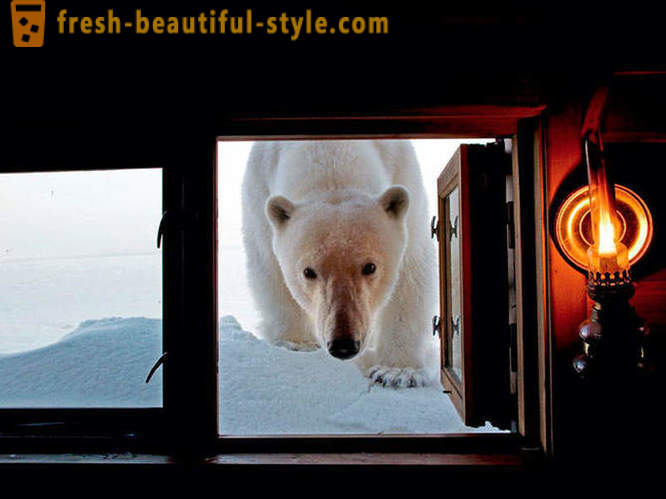 Καλύτερες φωτογραφίες από το National Geographic 2012
