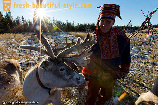 Σε αναζήτηση του Άγιου Βασίλη σε τάρανδο Σιβηρίας μεγαλόσωμος