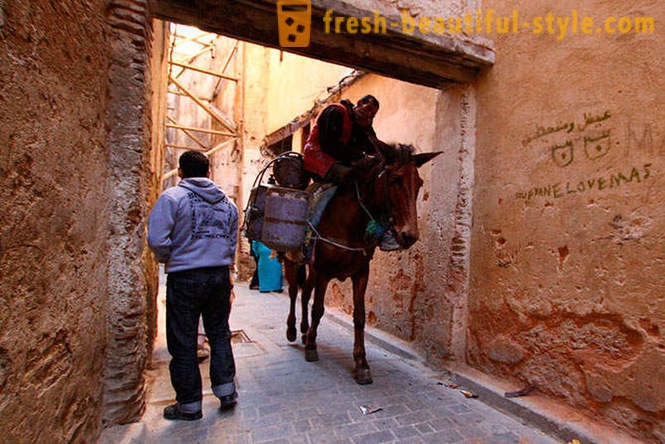 Φεζ - η παλαιότερη από τις αυτοκρατορικές πόλεις του Μαρόκου
