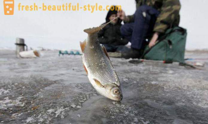 Ψάρεμα στο Χάντι-Μανσίσκ. River Χάντι Μανσίσκ
