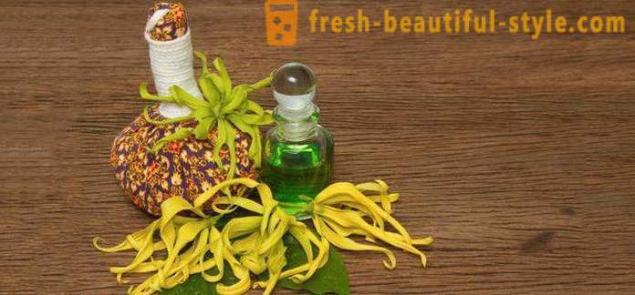 Ylang-ylang μαλλιά: χρήσιμες ιδιότητες, μέθοδος χρήσης