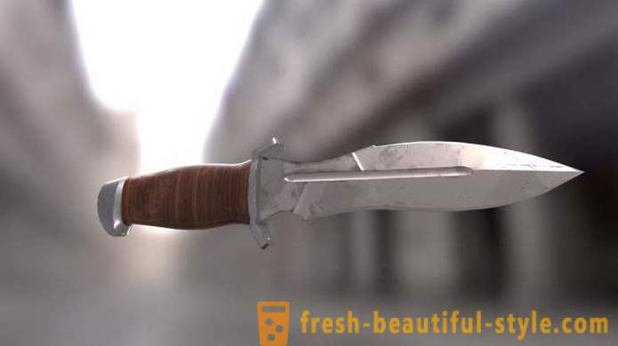 «Τιμωρός» (μαχαίρι) χαρακτηριστικά, τη λειτουργικότητα, τροποποιήσεις
