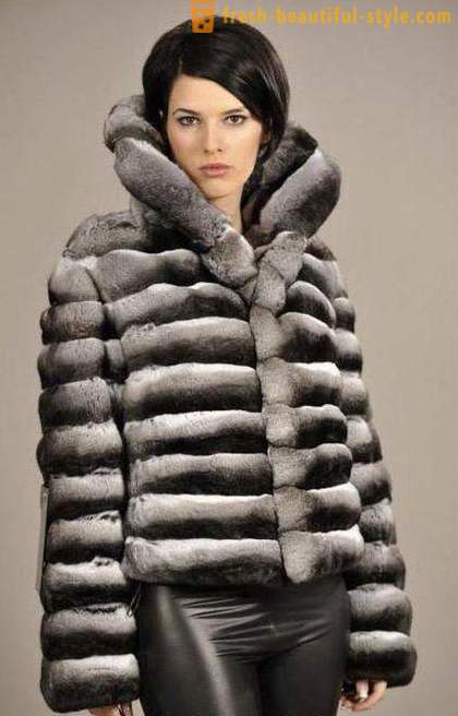 Chinchilla παλτά. Κουνέλι γούνινο παλτό από τσιντσιλά