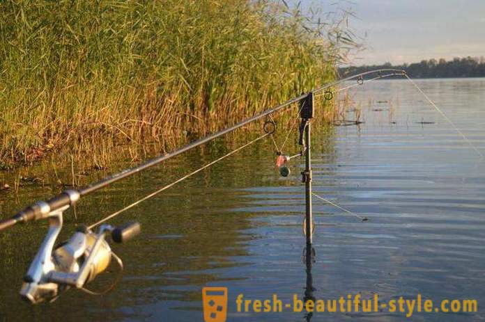 Απαγορεύεται η αλιεία στην περιοχή Ryazan στον ποταμό Oka και άλλα υδατικά συστήματα
