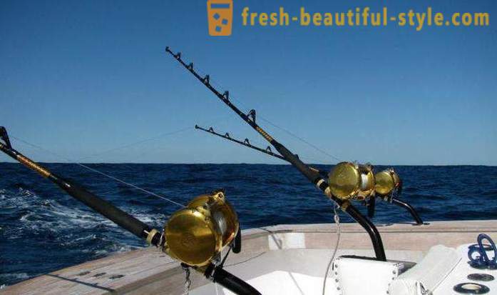 Συρτή: αλιεία για αρχάριους. Ψάρεμα με συρτή βάρκα