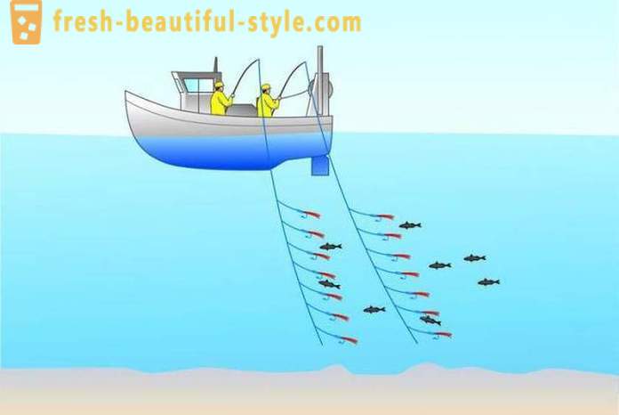 Συρτή: αλιεία για αρχάριους. Ψάρεμα με συρτή βάρκα