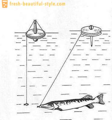 Η σύλληψη λούτσος κύκλο: Τα χαρακτηριστικά της μεθόδου. Πάικ αλιείας στους κύκλους στις όχθες του ποταμού, στη λίμνη