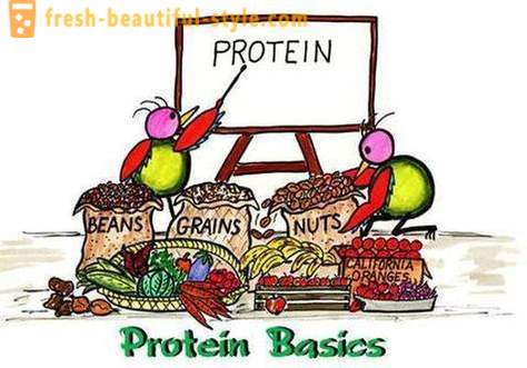 Τι είναι οι πρωτεΐνες; Ποιος και πώς να πάρει πρωτεΐνη