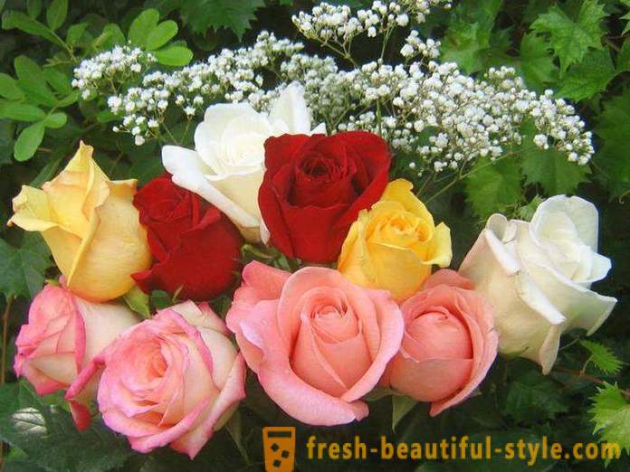 Μπουκέτο με όμορφα τριαντάφυλλα σε ένα δώρο