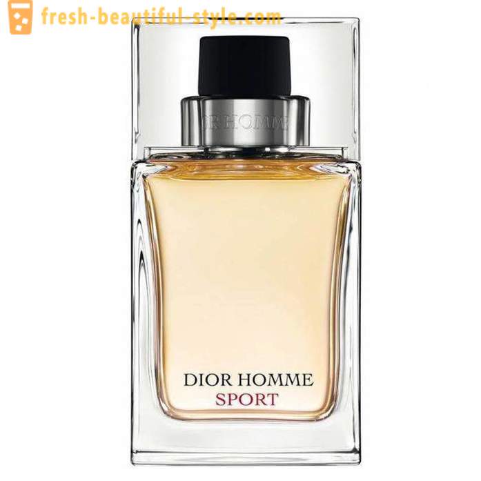 Dior Homme Sport άνδρες: περιγραφή ξενοδοχείου, κριτικές