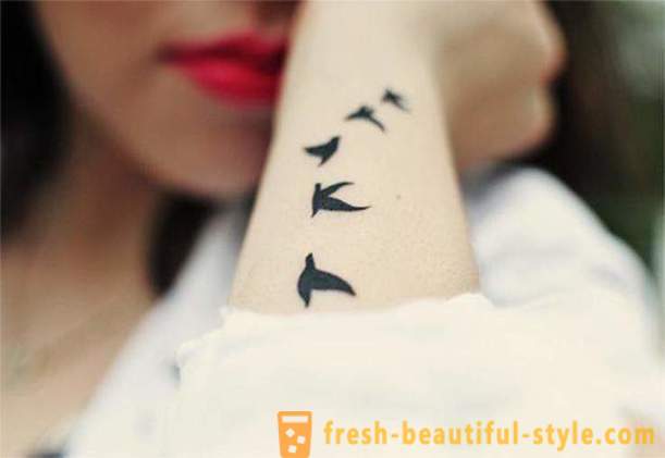 «Χελιδόνι» τατουάζ. Η σημασία και τον συμβολισμό