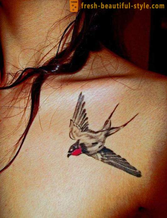 Τατουάζ «χελιδόνι στο λαιμό» - το μυστικό της ιδανικής εικόνας