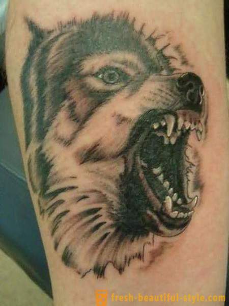 Σημασία τατουάζ «Wolf»: περιγραφή, αποχρώσεις παραδείγματα