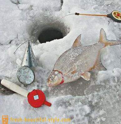 Χειμώνας τσιπούρας. Αντιμετωπίστε για το χειμώνα αλιείας της τσιπούρας