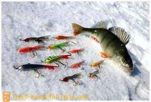 Ψάρεμα στην rocker το χειμώνα. αλιευτικής τεχνικής στη δοκό ισορροπίας