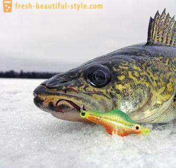 Ψάρεμα στην rocker το χειμώνα. αλιευτικής τεχνικής στη δοκό ισορροπίας