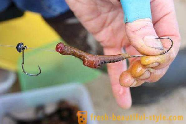 Πώς να διαδώσει το σκουλήκι στο αγκίστρι σωστά