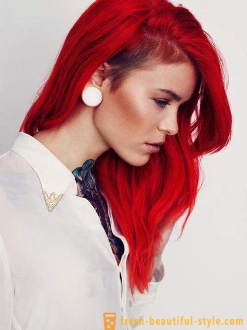 Κόκκινα μαλλιά - φωτεινά και έντονα εικόνα