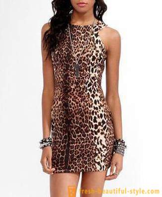 Leopard φόρεμα όμορφο αρπακτικό