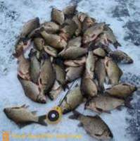 Συναρπαστική αλιεία κυπρίνου το χειμώνα
